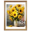 JCJMY 18x24 Vintage Picture Frame with 16x20 Mat, Elegant Retro 18 by 24 Photo Frame with Shatter-Resistant Plexiglass for Wall, Gallery Decor & Gift,Gold, 1 Pack