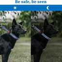Mayerzon Martingale Collar for Dogs, No Pull Dog Collar with Reflective Strip for  Dogs, Anti Pulling Dog Collar with Buckle for Walking Training, Safe for Night Walk (Black, S)