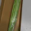 10PCS Fake Grass Filler Decor Artificial Grass Plants Outdoor Faux Plants Artificial Tall Shrubs Wheat Grass Greenery Stems UV Resistant Onion Grss For Outdoor Indoor Vase Planters Home Decor, Green