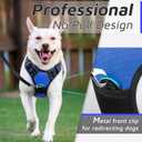 Eagloo Dog Harness Medium Sized Dog, No Pull Service Vest with Reflective Strips and Control Handle, Adjustable and Comfortable for Easy Walking, No Choke Pet Harness with 2 Metal Rings, Blue, M