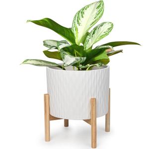 LaDoVita Ceramic Plant Pot with Stand, 10 Inch Planter with Wood Shelf, Modern Round Flower Pots Indoor with Wood Planter Holder, White Water Ripple Pattern