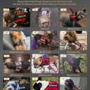 FAYOGOO Service Dog Vest for Small Dogs - Breathable Air Mesh Service Dog Harness with Leash & 6 Patches, Adjustable No-Choke Design for Walking, Travel & Public Access