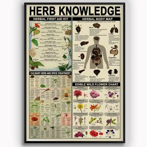 Herb Knowledge Metal Tin Signs Herbal First Aid Kit Infographic Poster Pharmacist Study Guide Tin Plaque Home Pharmacy Office Kitchen Wall Decor 16x24 Inches