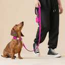 Didog Soft Padded Dog Collars for Medium Dogs, Colorful and Durable Dog Collar with Quick Release Buckle, Light and Breathable for Daily Walking, Rose Purple, M (M: Neck Adjustable 13-20")