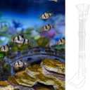 Rainmae Aquarium Feeding Dish Set, Transparent Aquarium Feeder Tube Kit, Fish Tank Feeding Supplies with Cleaning Brush and Food Scattering Prevention