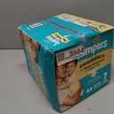 Pampers Baby Diapers - Swaddlers - Size 7, 44 Count, Ultra Absorbent Disposable Infant Diaper