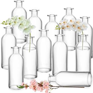 Nexboraque 12 Pack Glass Bud Vases, Clear Small Vases in Bulk Decorative Glass Flower Bottles for Table Centerpiece, Home Decor, Office, Wedding Reception