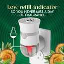 Air Wick Scented Oils 0+5 White Sage & Mahogany