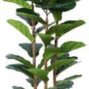 Artificial Fiddle Leaf Fig Tree with White Planter,5ft Tall Fake Tree with Natural Wood Trunk for Home Decor, Faux Ficus Tree Fake Moss for Indoor Office Living Room