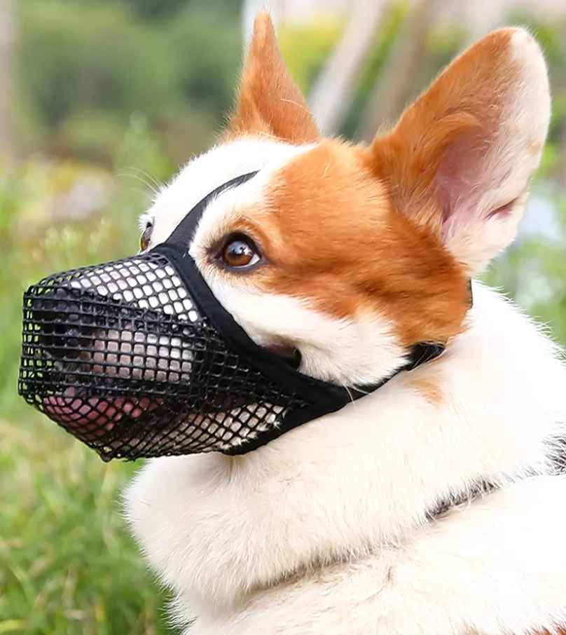 Crazy Felix Dog Muzzle, Soft Mesh Muzzle for Small Medium Large Dogs Labrador German Shepherd, Breathable Adjustable Mouth Guard for Biting Chewing Scavenging, Allows Panting and Drinking(Black,S)