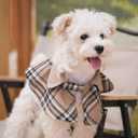 4 x Dog Tuxedo Wedding Suit Shirt with Bow Tie, Formal Outfit Tux Attire for Puppy Small Medium Dogs Cats Costume (Khaki Scarf, Large)