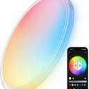 Smart LED Ceiling Light Fixture, Modern Dimmable Flush Mount Ceiling Light, Compatible with Alexa & Google Home, Lighting for Bedroom, Kitchen, Living Room, 12 Inch