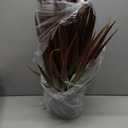 2ft Fake Spiked Agave Plant - Red Artificial Aloe Vera Plant 26 Inch - Tall Large Faux Floor Plants Perfect for Porch Door Step Home Office Patio Indoor Outdoor Decor (1 Pack)