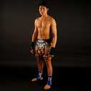 TUFF Muay Thai Boxing Shorts "Grey Roaring Tiger" (XL)