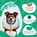 BENCMATE Inflatable Dog Cone Collar Alternative, Soft Dog Cone for Small Medium Large Dogs and Cats, Neck Recovery ECollar Donut Collar After Surgery (Large, Blue Donut)