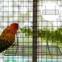  Balacoo Parrot Birdcage Platform Perch with Hanging Hooks - Iron Grid Wall Shelf for Small Pet Birds Bird Cage Accessory Stand for Climbing Resting and Display 9.84X3.93X2.75In