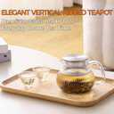 Glass Teapot with Stainless Steel Filter Lid, 20 oz (600 ml) Borosilicate Glass Tea Pot for Loose Leaf Tea Steeper, Tea Kettle for Blooming