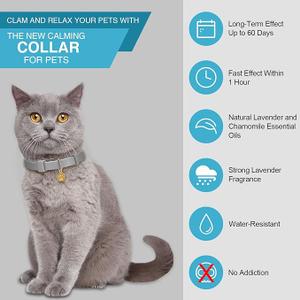 3 Pcs Cat Calming Collar Adjustable Lavender Scent Relaxing Cat Collar with 2 Pendant for Puppies Reduce Stress Aggression Anxious, up to 15 Inches(Grey, Silver)