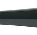 Rawlings | Raptor Youth Baseball Bat | USA | -10 Drop | 2 1/4" Barrel | 1 Pc. Aluminum (26 Inch, Dark Green)