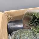 20'' Artificial Boxwood Ball Topiary Tree Set of 2 Porch Outdoor Potted Shrubs