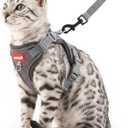 Cat Harness and Leash Kitten Harness Escape Proof Lightweight Breathable Mesh Cat Leash for Walking Travel, Grey, Large
