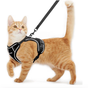 Kaazylab Cat Harness and Leash Black Size M (13-18 Lbs) Reflective Strip