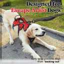 rabbitgoo Escape Proof Dog Harness, Soft Padded Full Body Pet Harness, Reflective Adjustable No Pull Vest with Lift Handle and Leash Clip for Large Dogs Walking Hiking Training, M, Red