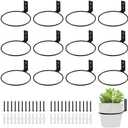 KvyusFlourish 12-Pack 6 Inch Flower Pot Holder Ring Hanging Plant Holder Wall Mount Metal Plant Hangers Indoor Outdoor Planter Hooks Brackets for Patio, Garden, Home, Matte Black