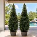 Artificial Cedar Topiary Trees, 6 FT UV Resistant Faux Boxwood Plants,Front Porch Decorations Outdoor,Realistic Evergreen Cypress for Patio Decor Set of 2