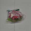 AmzManch Girls Ocean Princess Costume Dress with Accessories for Birthday Party, Halloween & Role Play, Toddler Kids Princess Dress Up Clothes, Size 2T/ 2-3 Years