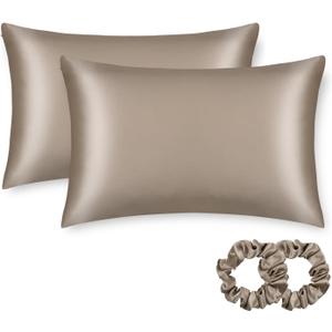 ALASKA BEAR Silk Pillowcase for Hair and Skin, Set of 2 Pure Genuine 22 Momme Mulberry Silk Pillow Cases Queen Size for Bliss Sleep Better Than Poly Satin, Zipper Closure(2pc, Taupe)