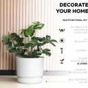 Elly Dcor 10 inch Plastic Cylinder Planter Pot with Self-Watering Saucer and Drainage Hole,Lightweight & Extremely Durable, 10"x 10", White
