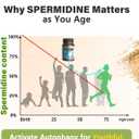 Spermidine & Fisetin Supplement - 20mg of 99% Spermidine Per Serving, 3HCL & 300mg Fisetin for Women Men Cell Renewal, Aging Defense & Longevity, Gluten Free, Non-GMO, Made in USA | 30 Veggie Caps (30 Count (Pack of 1))