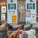 Chicken Sign Chicken Coop Signs 8 Pack Funny Chicken Coop Metal Tin Signs Outdoor Chicken Coop Accessories Toys Decor Sign For Farm Personalized Metal House Sign Chicken Coop Gift For Chicken Lovers