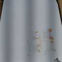 RomanticBaking 24pcs 10x10x2.5 Inches White Pie Boxes with Window - Perfect for Cookies, Chocolate Covered Strawberries, Cakesicles & More