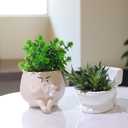 Face Planter Pots Funny Toilet Plant Pot for Indoor Plants, Cute Face Head Flower Pots Quirky Succulent Planters Gift Ideal for Home, Office, Christmas