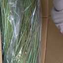 KOL 4ft 2-Pack Artificial Cattail Reed Grass, 47.2 Artificial Indoor Outdoor Fake Onion Grass Plant, Home Office Wedding Decorative Potted Plant Faux Greenery, Housewarming Gift, Green