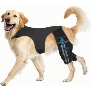 Dog Knee Brace for Torn ACL CCL Adjustable Dog Rear Leg Support Brace with 4 Metal Stabilizers, Helps with Luxating Patella, Ligament Injuries & Hip Dysplasia,L