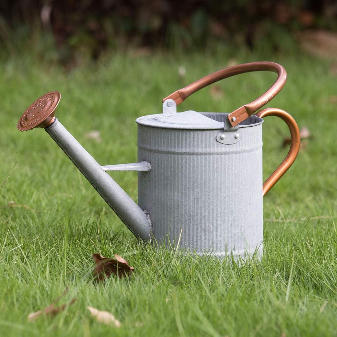 1 Gallon Watering Can, Metal Watering Can with Removable Spout, Farmhouse Galvanzied Water Can, Nice Plant Water Can for Indoor Use and for Outdoor Use