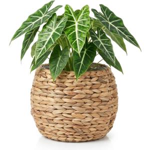 Cabilock Handwoven Hyacinth Planter Basket, Natural Woven Rattan Storage Basket for Small Plants, Eco-Friendly Indoor & Outdoor Decorative Pot Cover for Farmhouse, Boho Home Decor