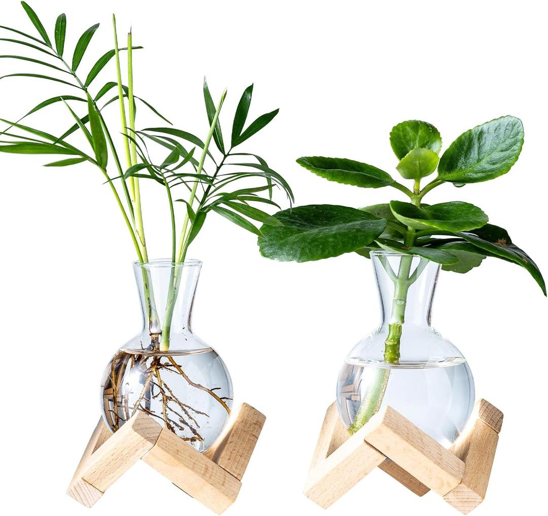 Propagation Stations, Propagation vases with Wooden Stand, Small Tabletop Glass Bulb Vases for Hydroponics Plant Propagation Station Home Office Decoration, Gift for Women Plant Lovers (2)