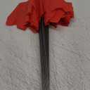 Zozen 100Pack Red Marking Flags, Writable/15x4x5 Inch, Yard Flags for Lawn & Irrigation & Landscape & Sprinkler & Survey & Dog Training.