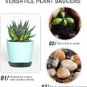 12Pcs Plant Saucer, 6 8 10 Inch Durable Plastic Plant Tray, Black Round Plant Pot Saucers, Drip Tray for Indoor and Outdoor Garden