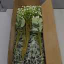 lovemoon Mixed Greenery Artificial Eucalyptus Stems, Baby Breath Artificial Flowers Bulk and Eucalyptus Leaves for Wedding Bouquets Home Office Floral Decor (100, Green and White)