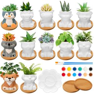 Hushee 12 Sets Ceramic Succulent Planters Paintable Succulent Plant Pots Small DIY Figurines Unpainted Pots with Drainage Hole Color Paints Paintbrushes Palettes