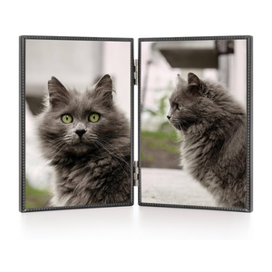 3.5x5 Double Hinged Metal Picture Frame with HD-Tempered Glass, Thin Edge Photo Frames with Delicate Beading Decoration and Soft Velvet Backing for Tabletop and Wall Mount Display, Black