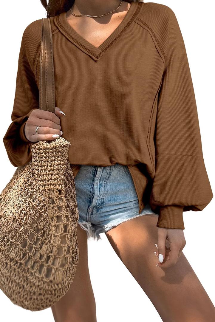 Acelitt Women Casual Fall Long Lantern Sleeve V Neck Lightweight Loose Blouse Tops, S (Brown)