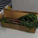 8Pcs 24 Inch Real Touch Norfolk Pine Stems, Artificial Green Plants Branches, Faux Greenery Pine Stem Fake Cedar Picks for Vase, Christmas Pine Branches for DIY Crafts Home Indoor Decor