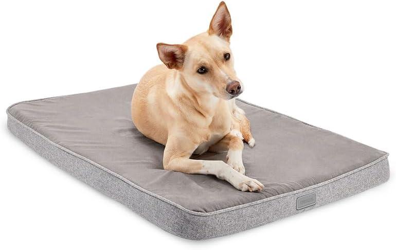 Diggs Snooz Memory Foam Dog Bed - Ideally Sized Revol Dog Crate Pad - Premium Orthopedic Pet Bed for Crate or Home - Grey, Size: Intermediate, 38.7"L x 24.4"W x 2.75"Th