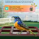 Smart Bird Feeder with Camera,5200mAh Battery with Solar Panel, 4K Native Resolution Live View, AI Species Identification, Auto Capture & Instant Arrival Alert, Ideal Gift for Bird Lovers (Red Green)